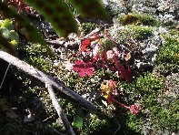 otte Scorciavacca20110306 087